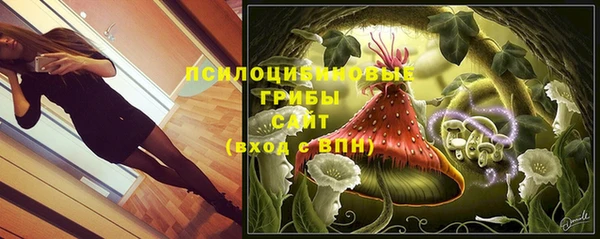 герыч Вязьма