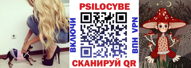 Псилоцибиновые грибы Magic Shrooms  Купить  Белая Калитва 